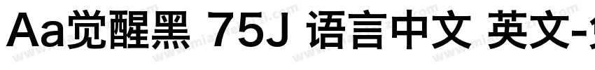 Aa觉醒黑 75J 语言中文 英文字体转换